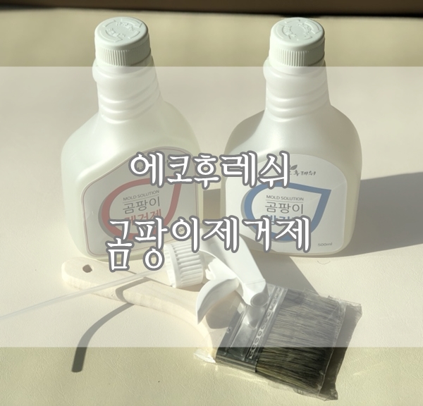 욕실줄눈 곰팡이제거, 에코후레쉬 곰팡이제거제로 말끔하게 방지까지 : )