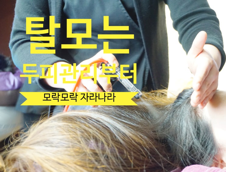  [영등포 탈모] 탈모는 두피관리부터 더모락에서 두피관리받고 왔어요~
