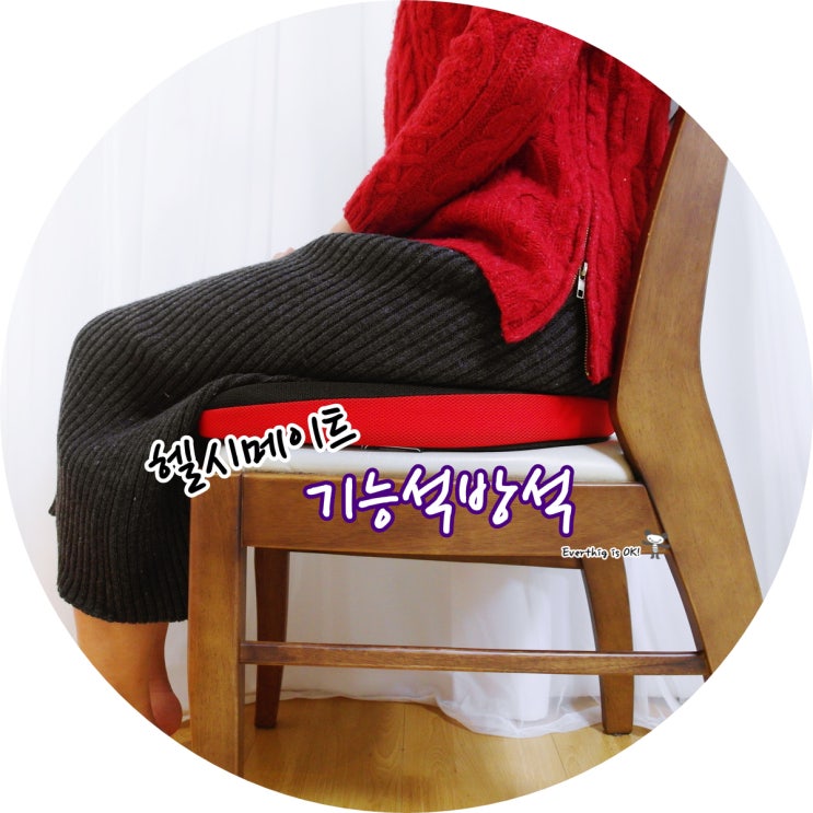 기능성방석은 헬시메이트 로아르 이스키움으로 함께!