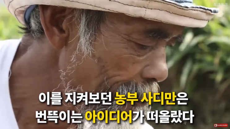  나무를 심는 사람, 사디만