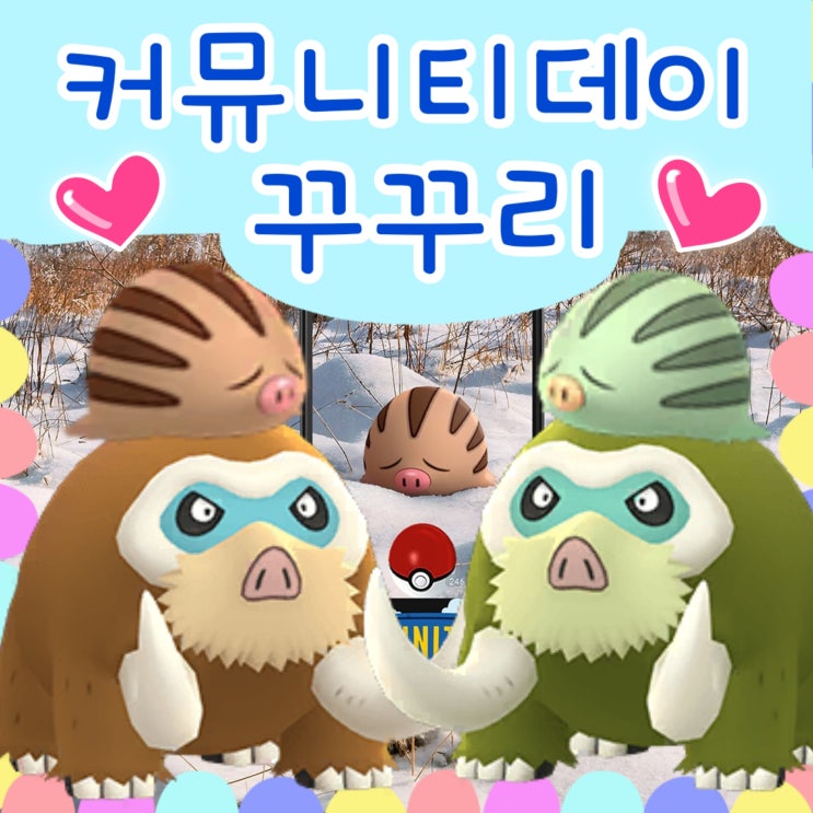  포켓몬고 커뮤니티데이 - 이로치 꾸꾸리 메꾸리 맘모꾸리 진화