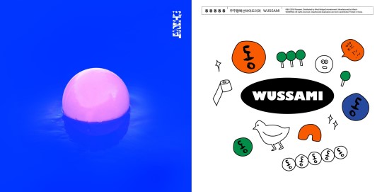  ‘헬로루키 대상’ 우주왕복선싸이드미러 “올해 소망은 ‘유스케’ 출연” (서울. 20190123)