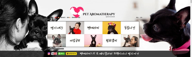  교육 관련 홈페이지형 블로그 제작 비용 저렴하게 새단장했어요