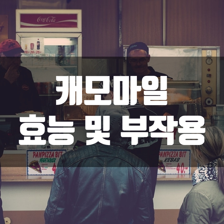 캐모마일의 효능과 부작용(feat.꿀잠보장)