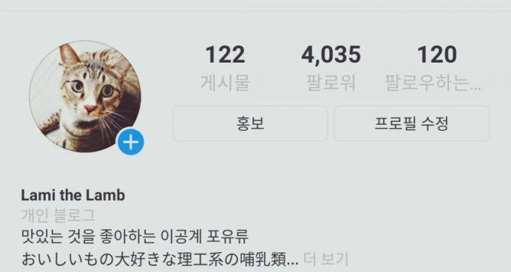  인스타그램 4k 돌파