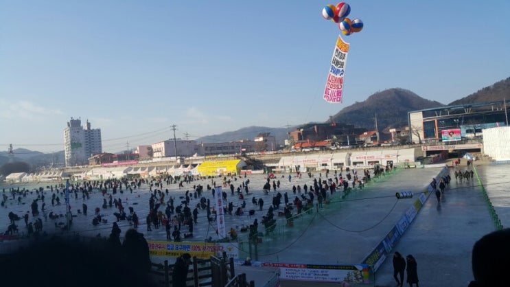  화천 산천어축제