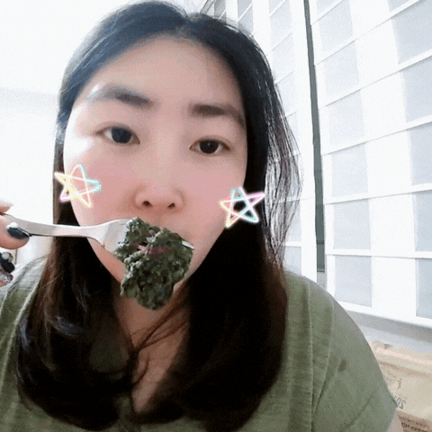  정선 수리취떡 - 아리아리떡사랑 명절 선물 받았어요!