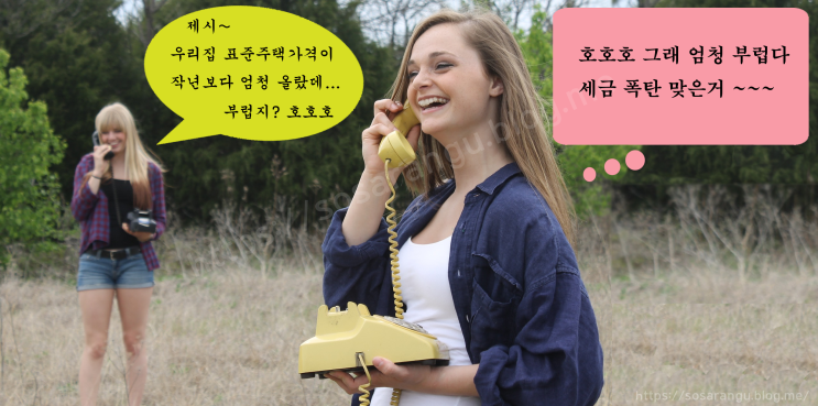  표준 단독주택 공시가격 열람 방법과 이의신청 기간 및 방법