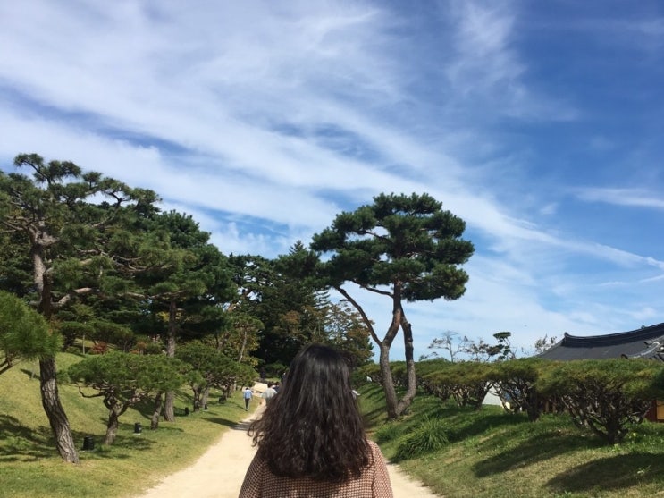  201810 강원도 양양 2박 3일 뚜벅이 여행 2탄 - 낙산사, 강원도 양양 맛 집