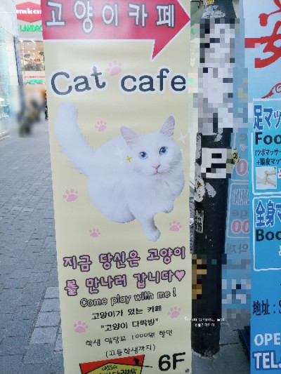 아이와 명동 나들이 - 명동 고양이카페 "고양이 다락방" 아이와 명동 나들이 - 명동 고양이카페 "고양이 다락방"