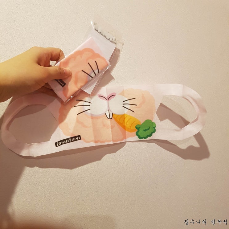  [매일매일 버리기]D+432_토끼마스크