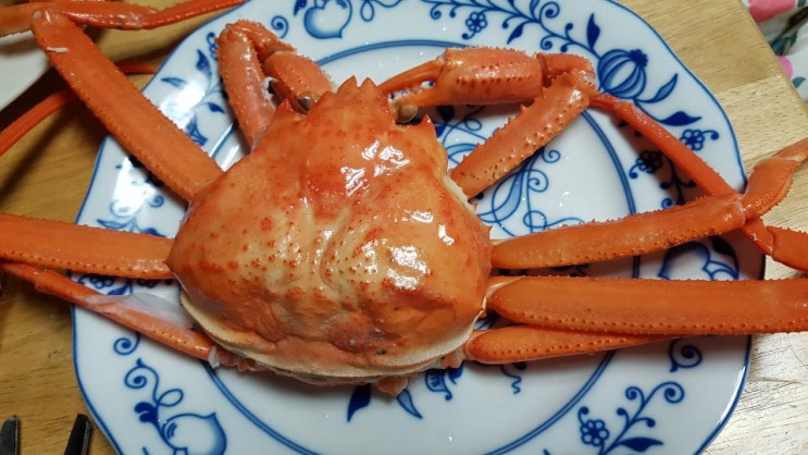  대게 맛있는거 먹었어요!