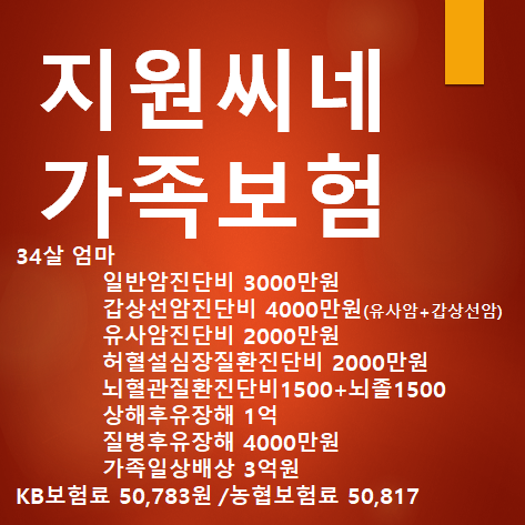  14 30대여자를 위한 갑상선암 4000만원 / 가족력이 걱정인 30대 남자갱신형보험 리모델링을 통한 가성비 좋은보험으로  (작성중