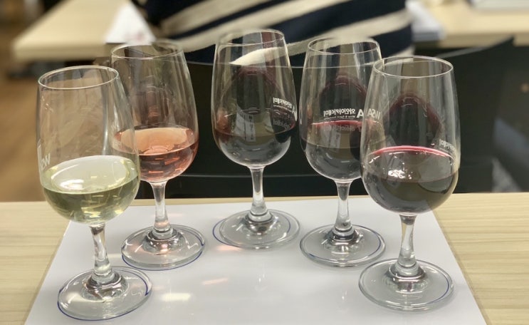  WSET Lvl. 2_New World 포도품종 & 그 외의 품종들_라벨 용어 & 와인 보관법
