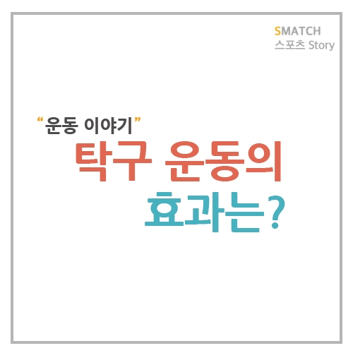  탁구 운동의 효과를 아시나요?