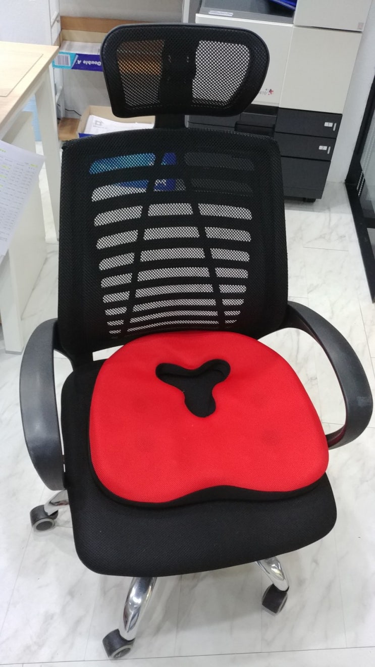 자세교정 이 방석 하나면 쉽게한다 헬시메이트 로아르 이스키움 기능성방석