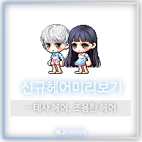  [신규 캐시 T_1.2.082] 메이플스토리 신규헤어 미리보기 : 테사 헤어, 조용한 헤어