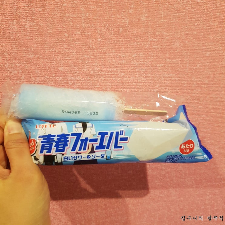  [매일매일 버리기]D+433_아이스크림