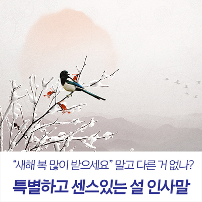 특별하고 센스있는 2019년 설날 인사말 모아보기!