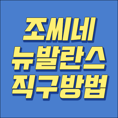 조씨네 뉴발란스 직구 방법 + 초보자용 설명