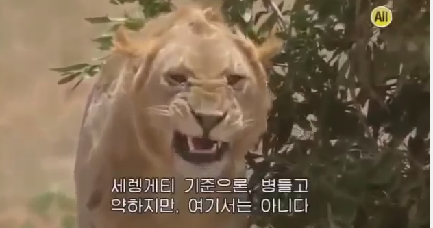  조성했다.또한 박윤철은 아내에 대한 질투를