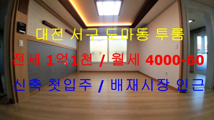  대전서구도마동신축투룸전세월세/배재시장신축투룸전세월세