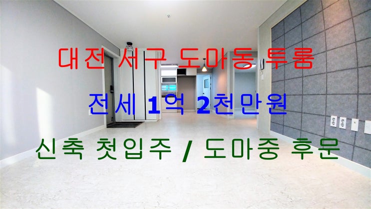  대전서구도마동신축투룸전세/도마중학교신축투룸전세