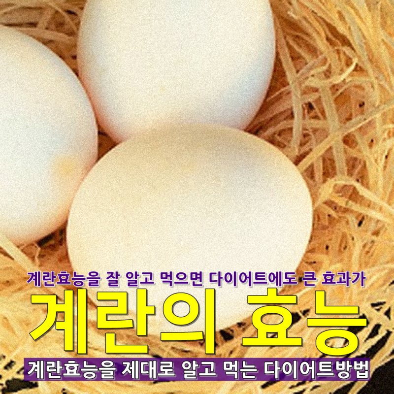 삶은계란 칼로리 계란은 하루에 몇개까지 먹어도 되나요 네이버 블로그