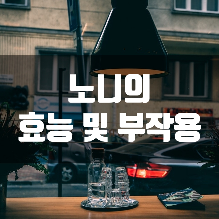  다양한 효능을 가진 노니 부작용도 알고 드세요