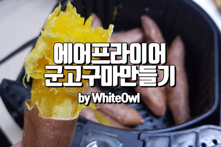  에어프라이어 군고구마 만드는 방법 레이드롭 raydrop 에어프라이어 추천 및 후기 AF-DT01B 자취생 필수품