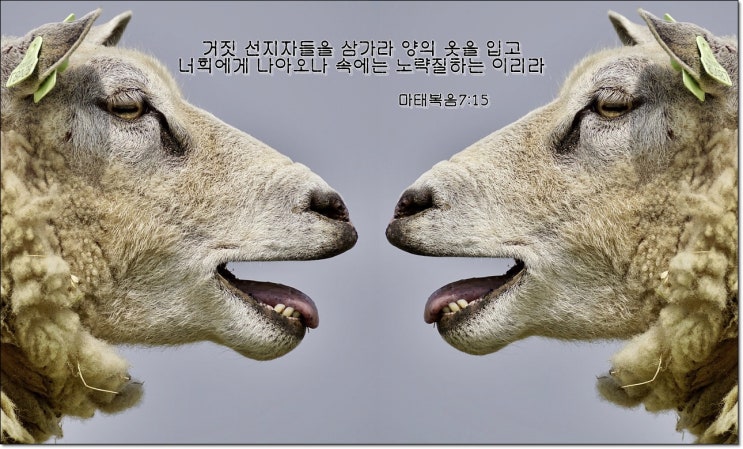  해체되는 한기총, 한기총 해체를 촉구하는 이유