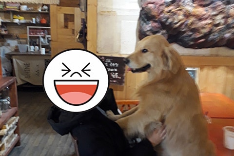 미애뜰 이미지