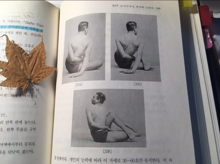  [요가]비틀기 동작이 질병 치유에 효과가 있는 이유