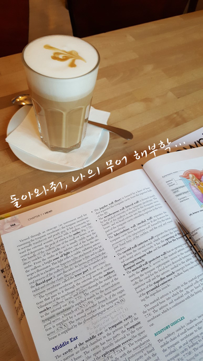  [바르샤바 의대생] 1학년은 어떤 책으로, 어떻게 공부하는지 대해서 (Feat.잡담....)