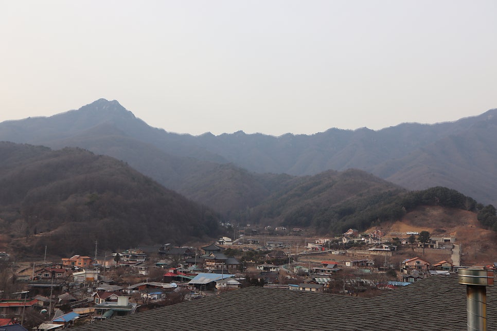 라이브힐링펜션 사진 6