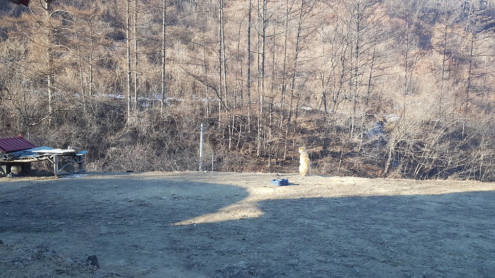 감고을펜션 사진 6