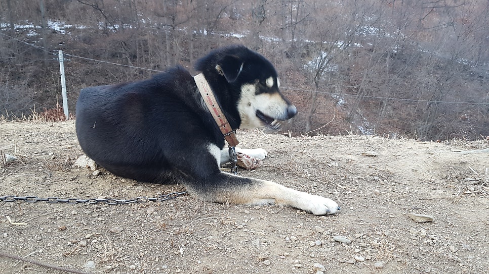 감고을펜션 사진 2