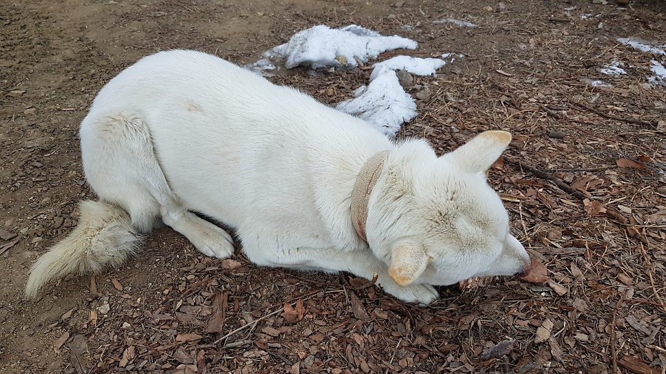 감고을펜션 사진 3