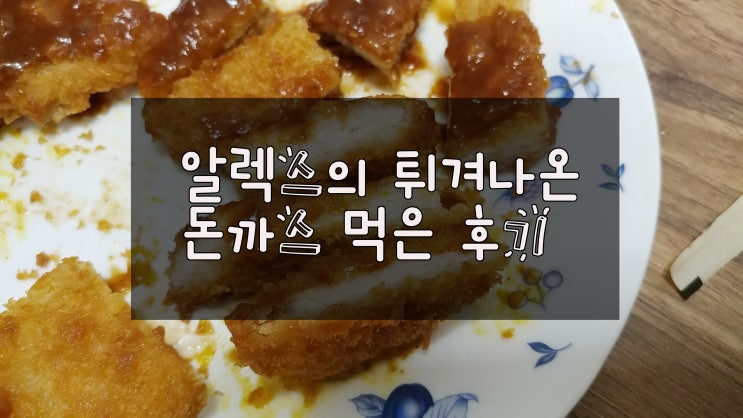  홈앤쇼핑 알렉스 튀겨나온 돈까스 알튀돈 에어프라이어 전자레인지 솔직후기