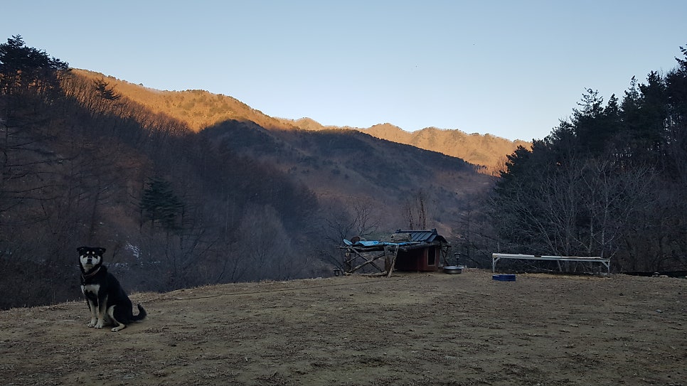 감고을펜션 사진 1