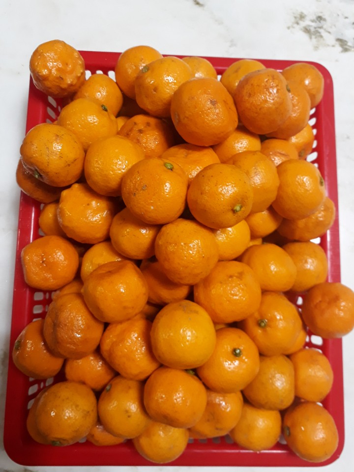  진귤(산물)쌍화만 들었어요~~^^