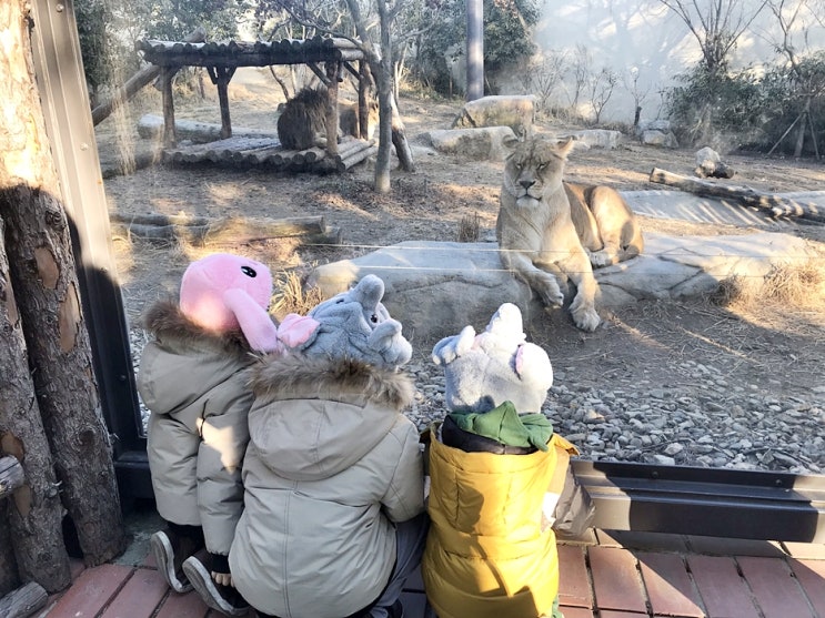 전주동물원 나들이 전주동물원 나들이