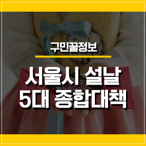  서울시 설날 5대 종합대책! "명절에도 안심하세요~"