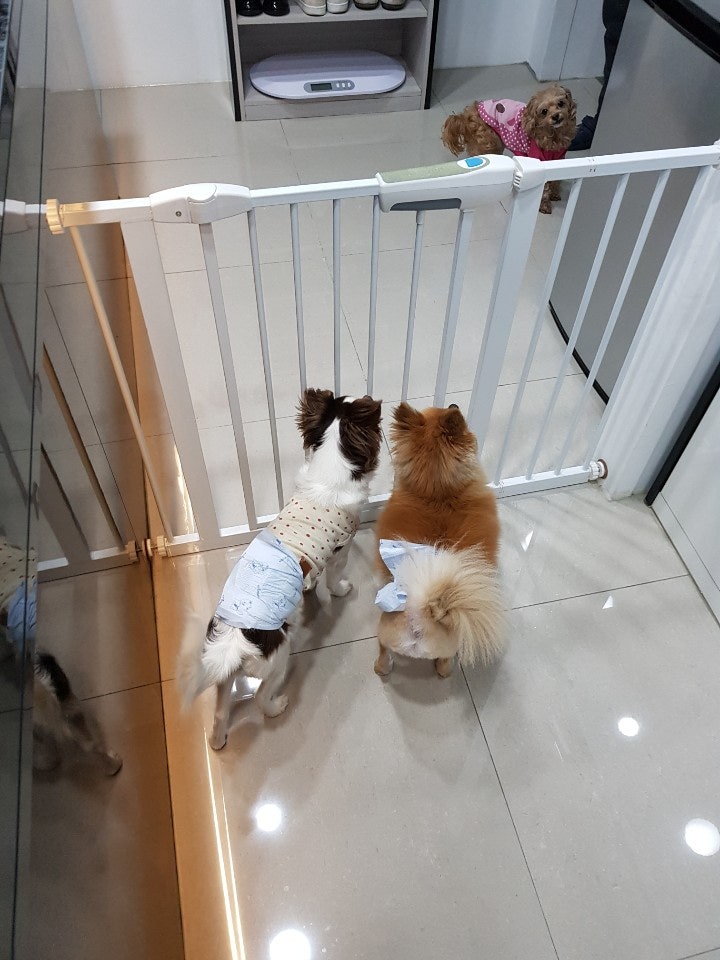 사진 4