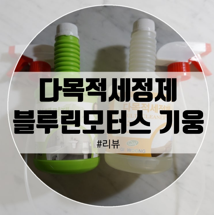  블루린모터스 기웅세제! 욕실과 화장실 다목적세정제+곰팡이!