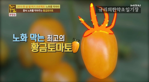  천기누설 피부노화방지 시스리코펜 황금토마토 과일세정제 칼슘파우더
