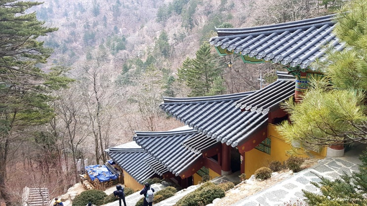  오대산 등산(상원사~적멸보궁~비로봉 코스)