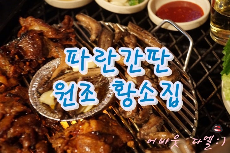  대흥동 파란간판 원조황소집에서 신년회고고