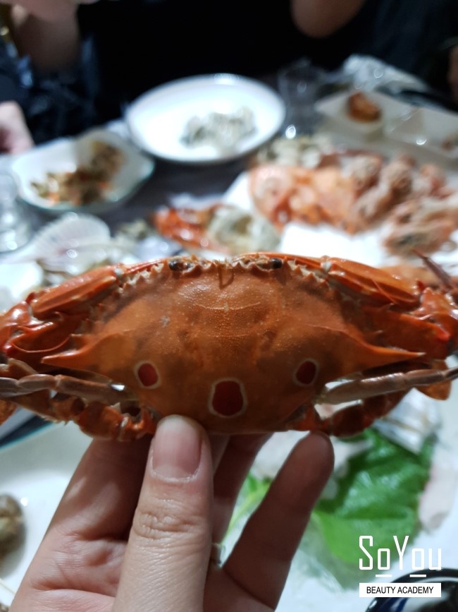  20190112~20190113 통영여행 1일차  (통영호텔추천, 통영맛집, 동피랑, 통영다찌) -- 그레이호텔, 충청도회초장욕지도고등어회, 선다찌