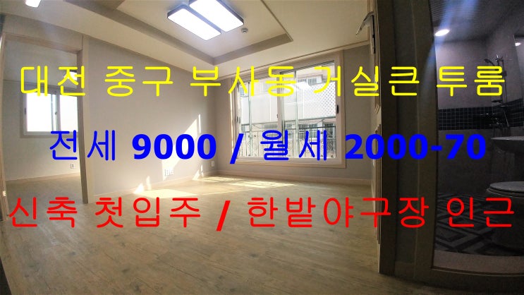  대전중구부사동신축투룸전세/월세 한밭야구장신축투룸전세/월세